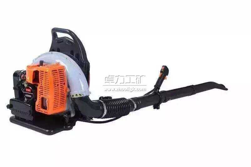 ��ؓ(f��)ʽ��ѩ�C(j��)